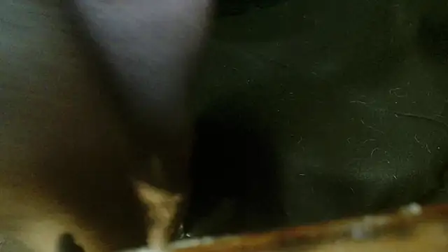 Snapshot of Gigadickman chatting on October 2025 02:31:02 AM Gigadickman online show from October 2025 02:31:02 AM