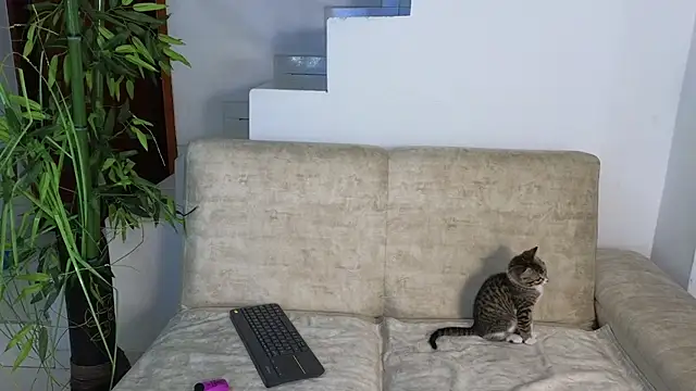 Snapshot of Lorenne_Miller chatting on October 2025 03:29:02 AM Lorenne Miller online show from October 2025 03:29:02 AM