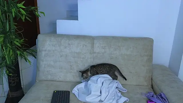 Snapshot of Lorenne_Miller chatting on October 2025 05:08:02 AM Lorenne Miller online show from October 2025 05:08:02 AM