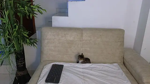 Snapshot of Lorenne_Miller chatting on October 2025 05:24:01 AM Lorenne Miller online show from October 2025 05:24:01 AM