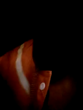 Snapshot of ale3J4a chatting on February 2025 06:48:01 AM ale3J4a online show from February 2025 06:48:01 AM