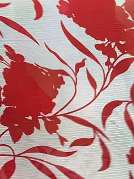 Sexy Evelynn online show from February 2026 04:24:01 AM