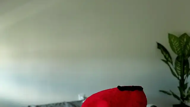 Snapshot of Sapphir3xoxo chatting on September 2025 03:15:01 PM Sapphir3xoxo online show from September 2025 03:15:01 PM