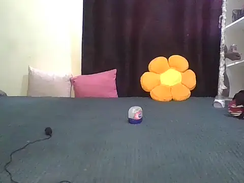 wildnastia online show from April 2026 04:57:01 AM