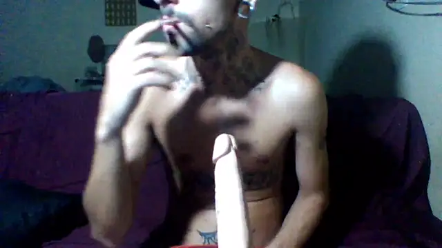 sellvageria online show from February 2026 06:42:02 AM