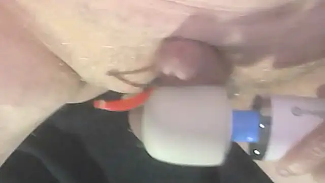 trittico online show from October 2025 01:47:02 AM