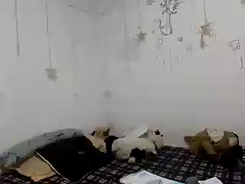 Nissha johosonn online show from December 2024 01:04:01 AM