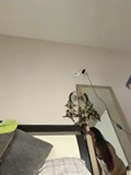 SOFIASWEETSECRETT online show from March 2026 04:28:02 PM