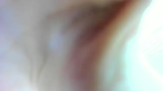 Snapshot of AishaRouhi chatting on January 2025 04:49:02 AM AishaRouhi online show from January 2025 04:49:02 AM