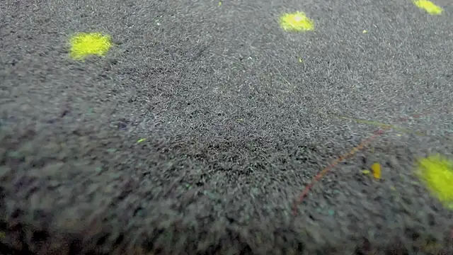 AishaRouhi online show from March 2026 08:19:01 AM