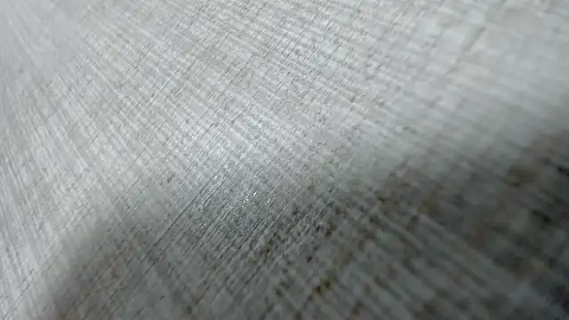 AishaRouhi online show from March 2026 04:13:02 AM