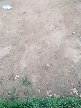 Snapshot of KINGJACKOFF chatting on December 2024 03:27:02 AM KINGJACKOFF online show from December 2024 03:27:02 AM