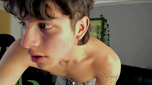 bravoboreal online show from December 2024 05:04:01 PM