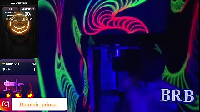 DominicPrince online show from January 2026 04:12:02 PM