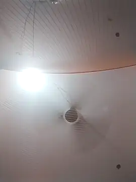 Nzfl97 online show from March 2026 04:52:01 PM