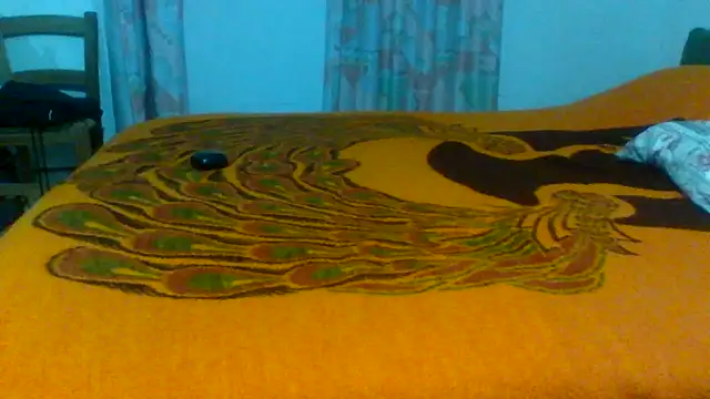 petan33 online show from October 2025 07:47:01 PM