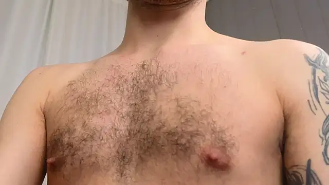 xteddy bear online show from February 2025 02:53:01 AM