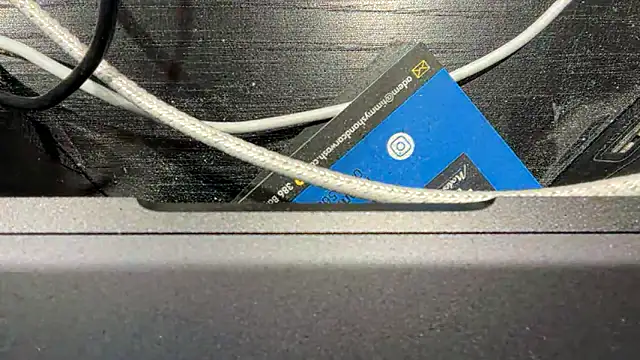 TinyTraps online show from December 2024 02:11:02 PM