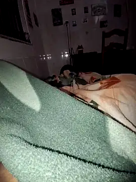 Snapshot of Zenfox24 chatting on September 2025 05:38:01 PM Zenfox24 online show from September 2025 05:38:01 PM