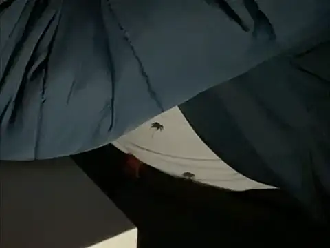 tomazu11 online show from October 2025 06:30:01 AM