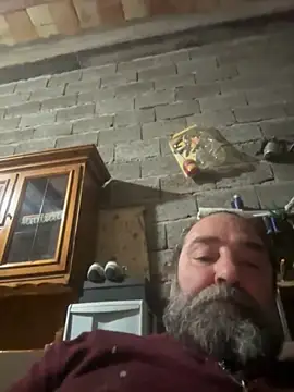 ros217 online show from November 2025 04:28:02 PM