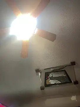 SmokingSloth online show from February 2026 02:31:02 PM