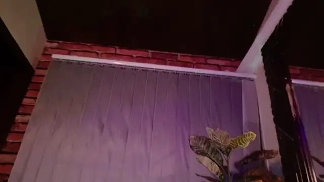 SeleneeEvanss online show from October 2025 11:28:02 PM