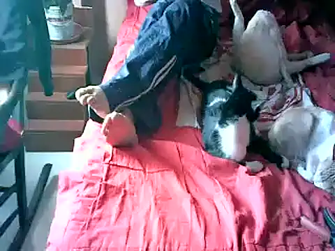 2mgars online show from September 2025 08:44:02 PM