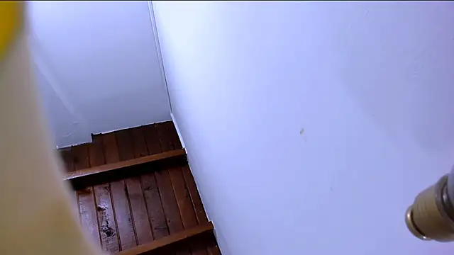 Brand habes online show from October 2025 02:03:02 PM