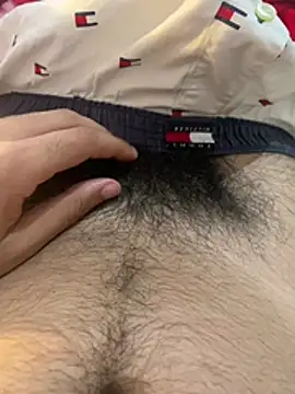 LaminarAerosol online show from April 2026 12:02:01 AM