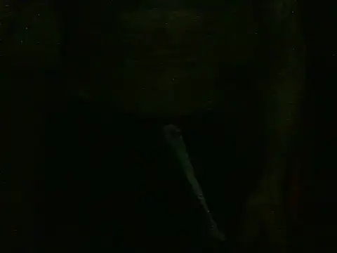 dangerman94 online show from October 2025 02:34:01 AM