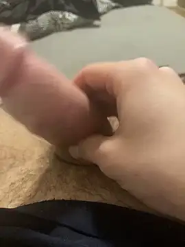 piler123 online show from December 2025 08:54:01 AM