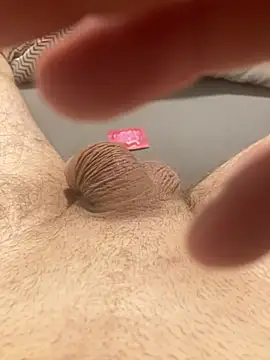 piler123 online show from February 2026 01:54:01 AM