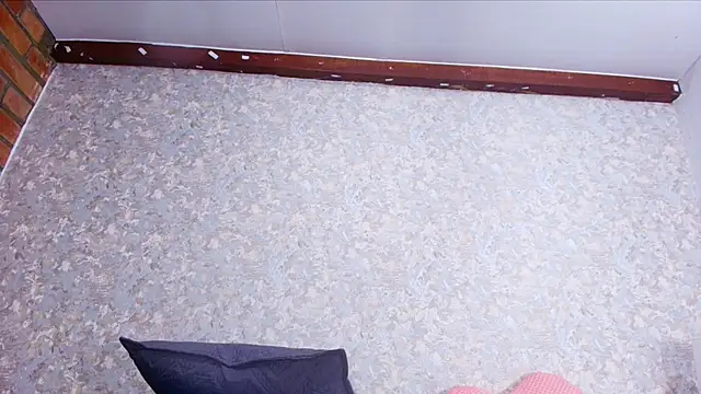 nicol f online show from November 2025 03:08:02 AM