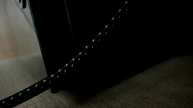 evely coelloo online show from December 2024 07:14:01 PM