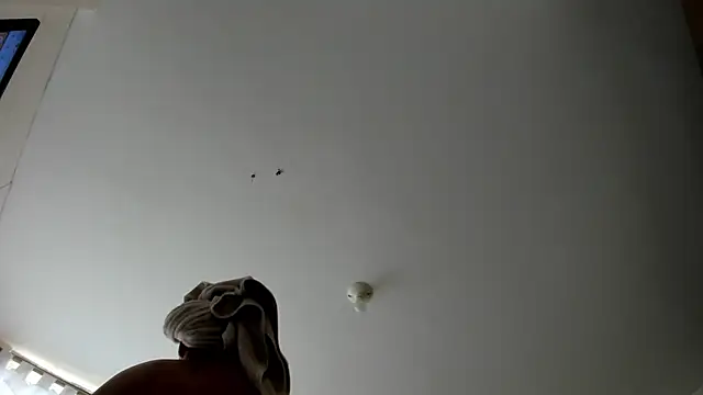 evely coelloo online show from September 2025 09:14:01 PM