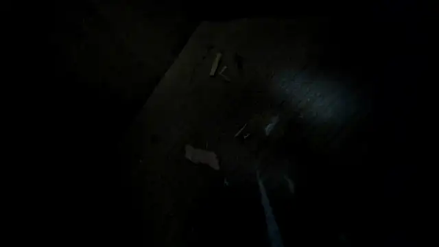 evely coelloo online show from February 2026 01:59:02 AM