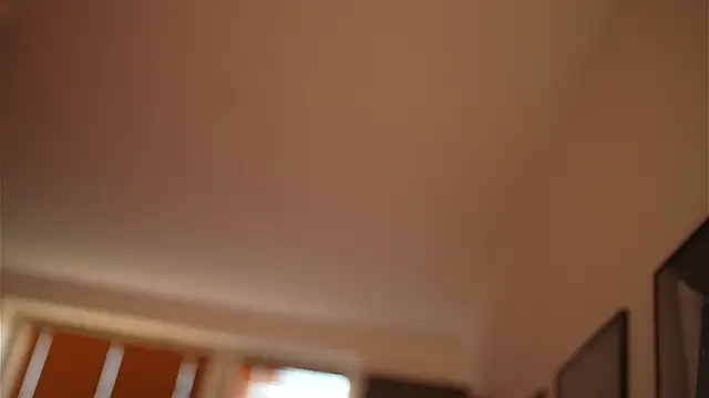 Bellis Perenis online show from December 2024 08:37:02 AM