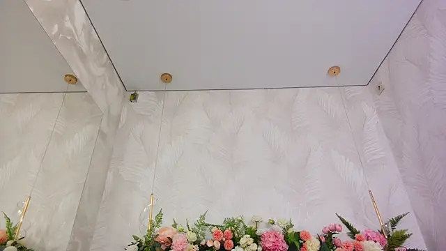 Snapshot of AliceBrayan chatting on December 2025 05:09:02 PM AliceBrayan online show from December 2025 05:09:02 PM