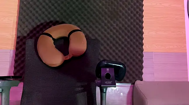 thesummerboy online show from February 2025 02:37:01 PM