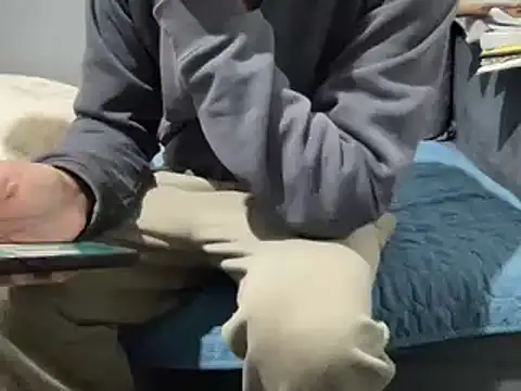 4small4inchlol online show from February 2025 10:28:02 AM