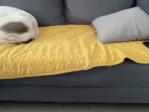 4small4inchlol online show from October 2025 10:48:02 AM