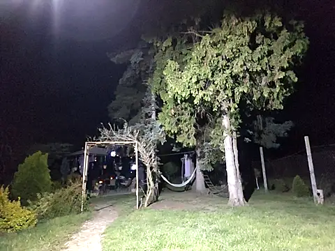 brbrrbrbrb online show from April 2026 08:17:01 PM