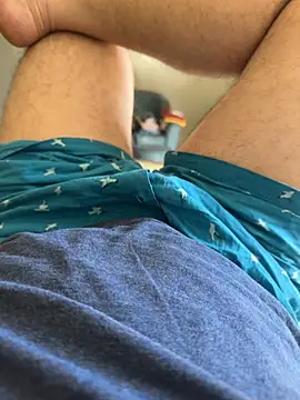 versatile guy01 online show from November 2025 10:02:02 AM