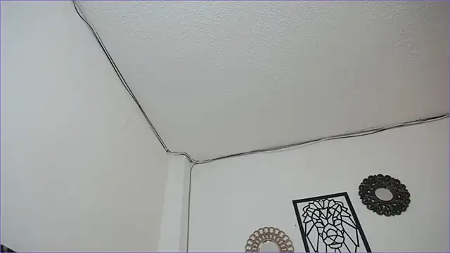 paytonbailey online show from March 2025 05:03:02 PM