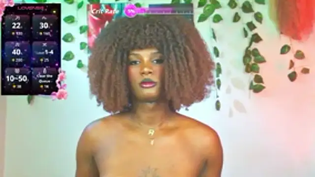 stefanny hot03 online show from May 2026 10:14:02 PM