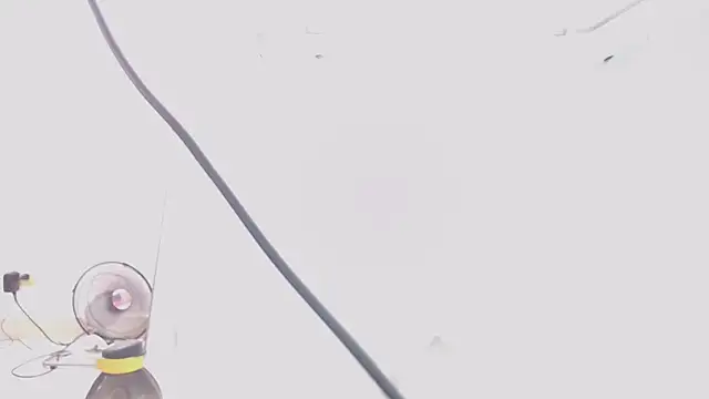 jhon tomson1 online show from February 2025 07:28:02 PM