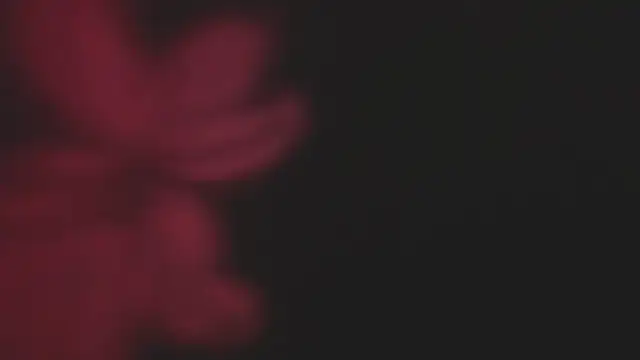 Lola69Rosexxx online show from February 2025 09:45:02 PM