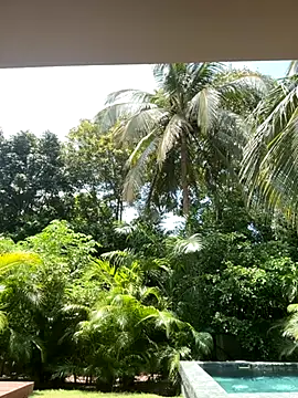 Olivia Collins1 online show from September 2025 04:52:02 PM