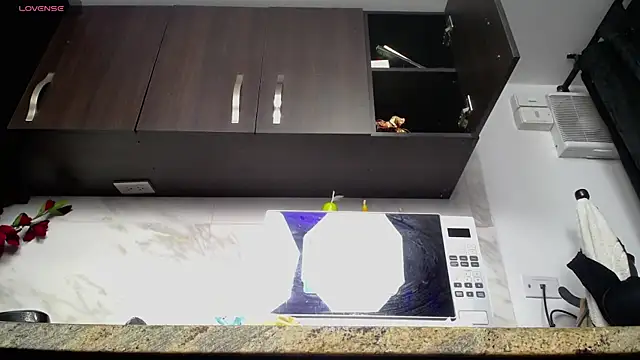 iniyalaboni online show from October 2025 08:20:01 PM